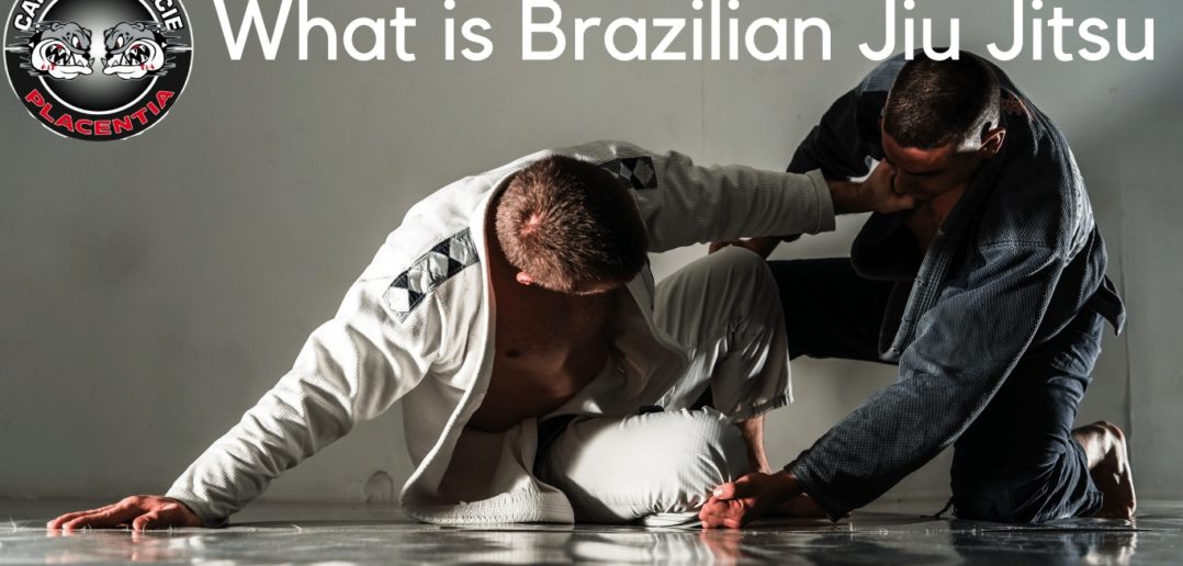 Beginners guide to what is BJJ.