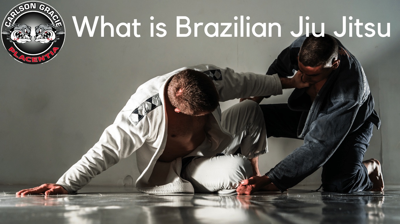 The Complete Brazilian Jiu-Jitsu Beginner's Guide