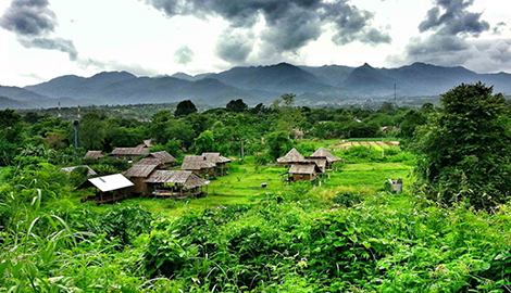 Learn Mauy Thai in Thailand at Gym hidden among the rice fields of Pai