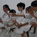 shaolin temple kung fu 