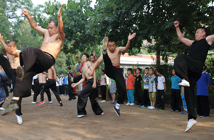 art of wushu 