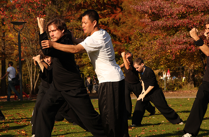 chinese martial arts wushu 